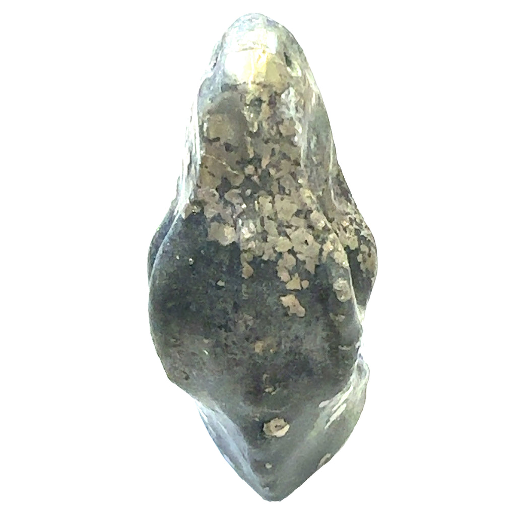 Pyrite T. rex Dinosaur Carving with Host Rock – Crystal for Willpower, Luck & Ambition
