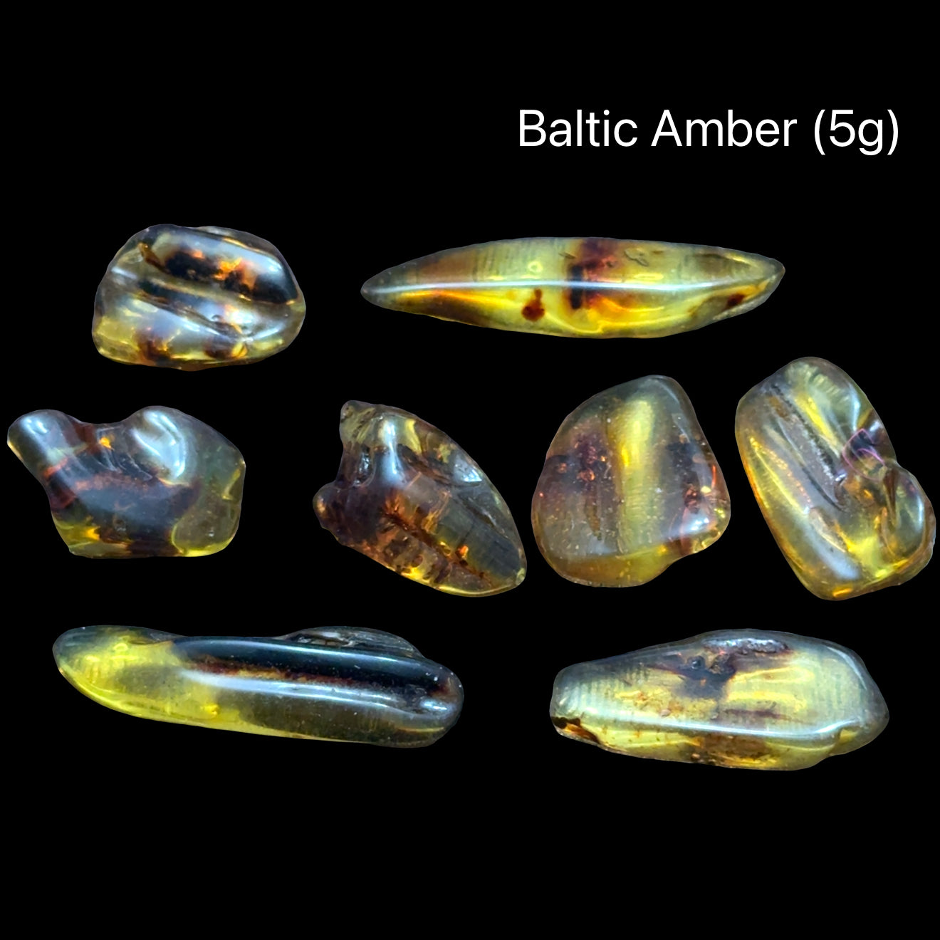 eight pieces of Baltic Amber on a black background with text indicating weight range (5g), front view.