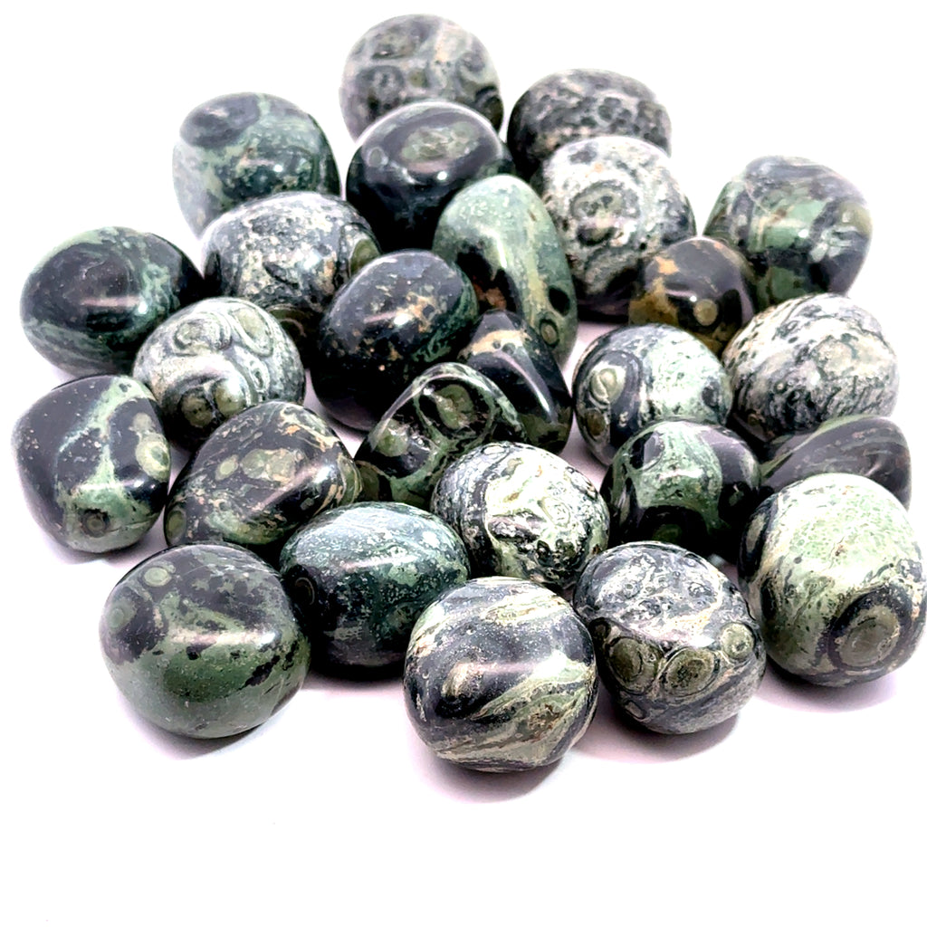 Kambaba Jasper Tumbled Gemstone