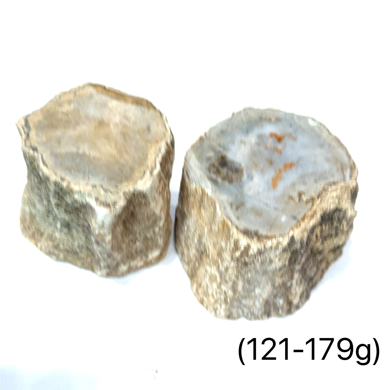 Petrified Wood Raw Gemstone, collectors pieces