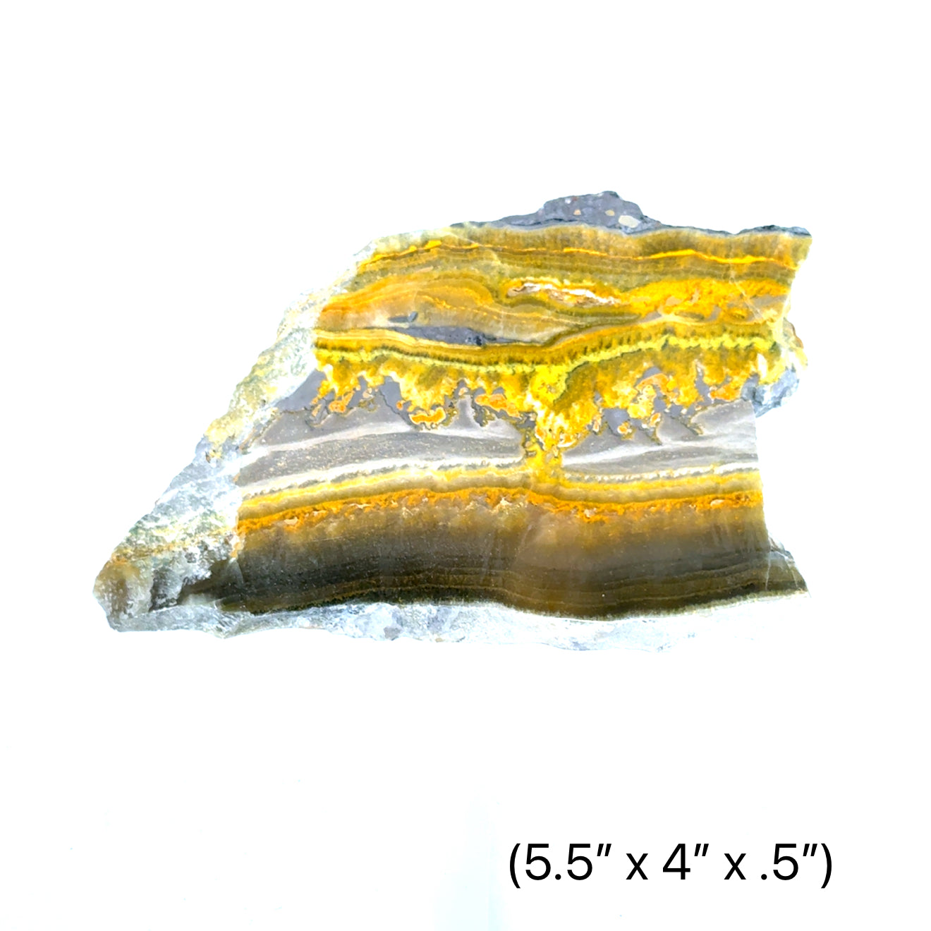 one  Vibrant yellow and grey banding of natural Bumble Bee Jasper slab (5.5''x4''x.5'') on a white background front view.