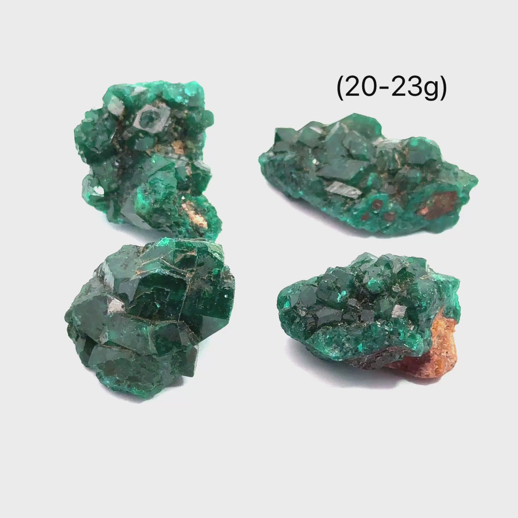 Dioptase Gemstone grouping on white 20-23g overview video