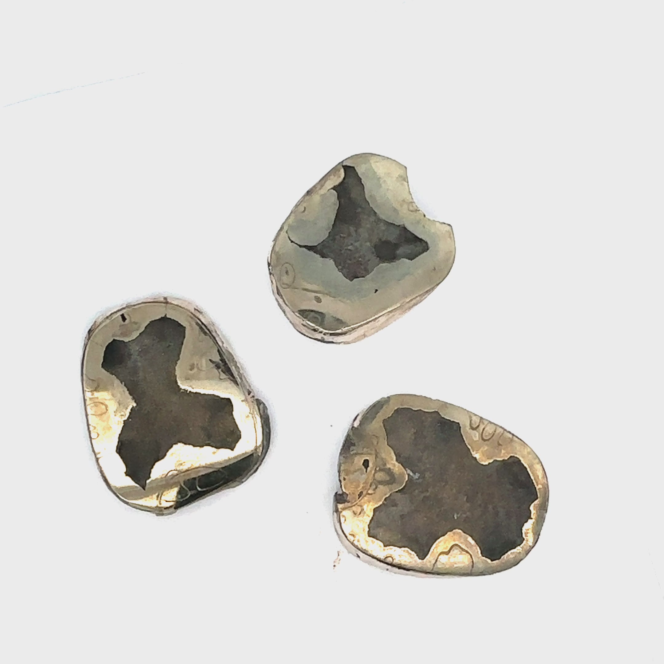 Ammonite with Pyrite gemstone slice, Raw gemstone