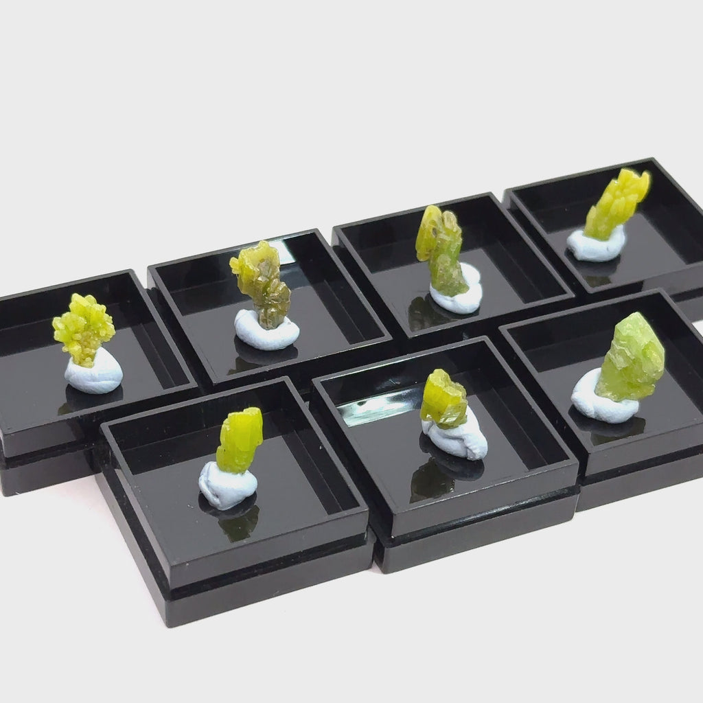 Raw Pyromorphite Gemstone in Perky Box  grouping on white front view video