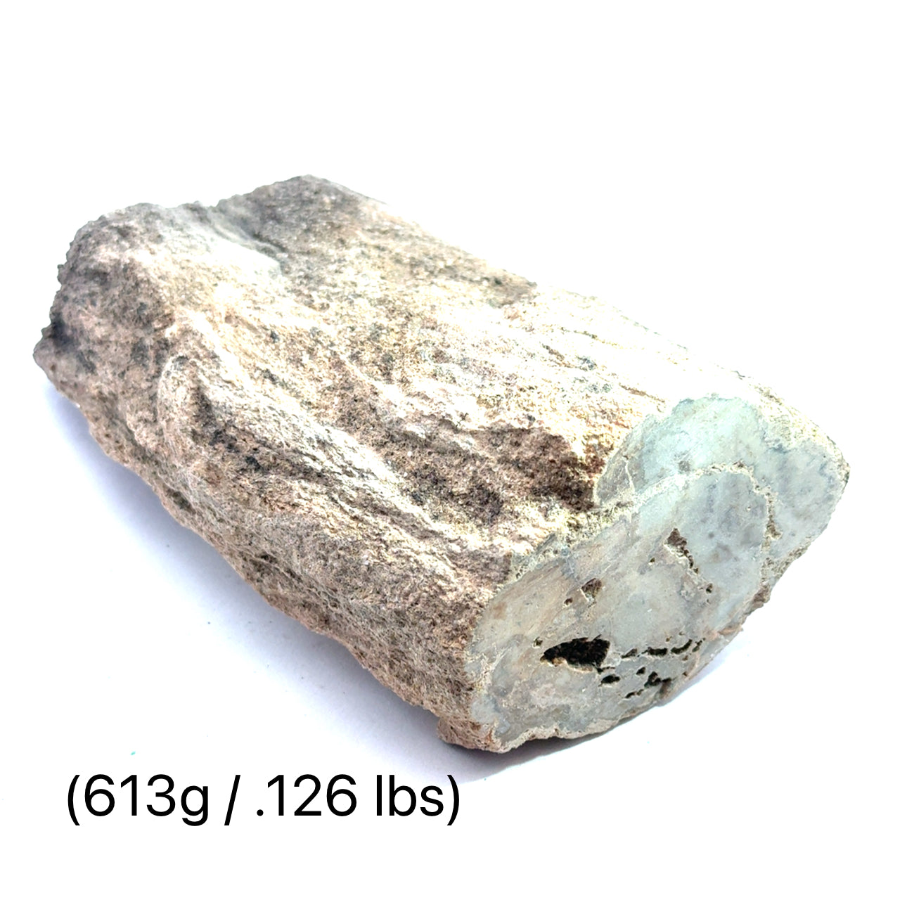 Petrified Wood Raw Gemstone, collectors pieces