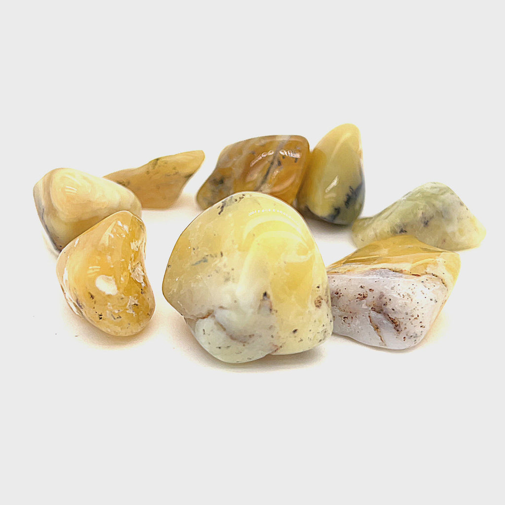 A collection of Yellow Opal tumbled gemstones displayed on a white background, front overview. video