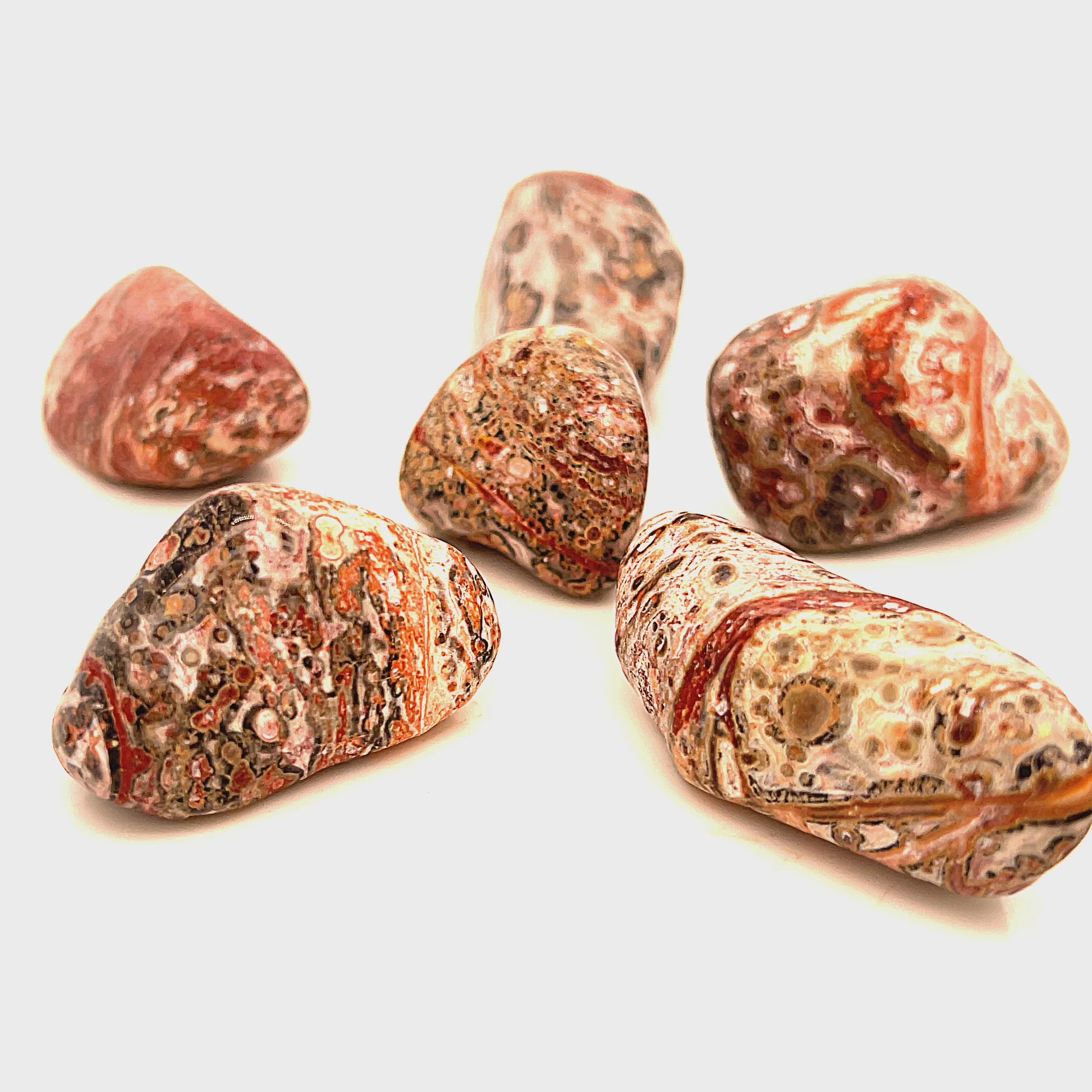 Leopard Skin Jasper tumbled gemstone