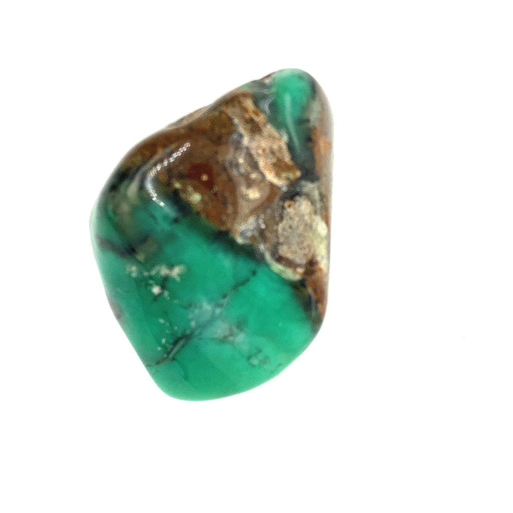 Chryscolla Palm Stone
