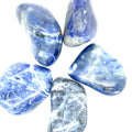 Sodalite  gemstone palm stones