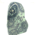 Kambaba Jasper Free Form Healing Stone