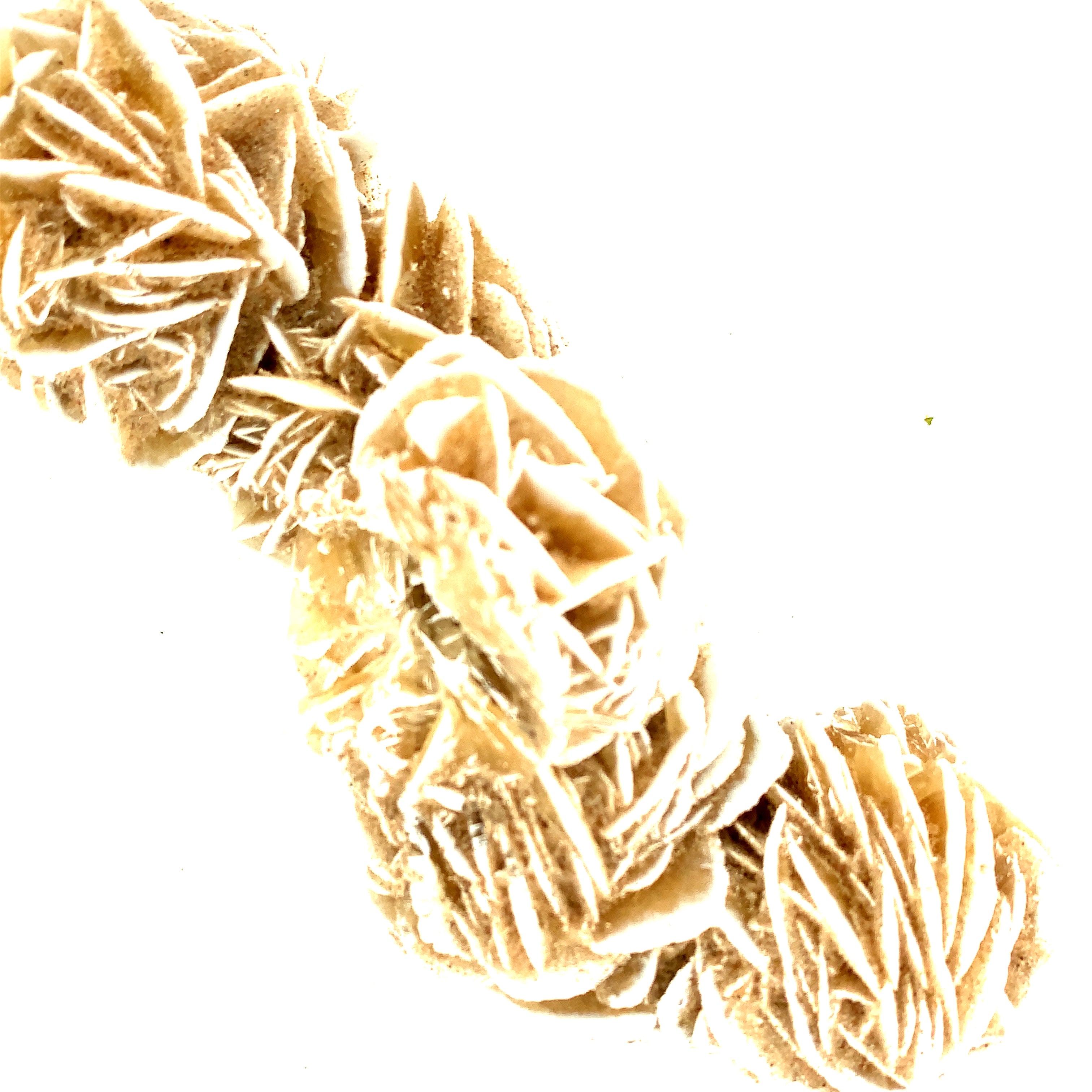 Desert Rose Selenite raw gemstones