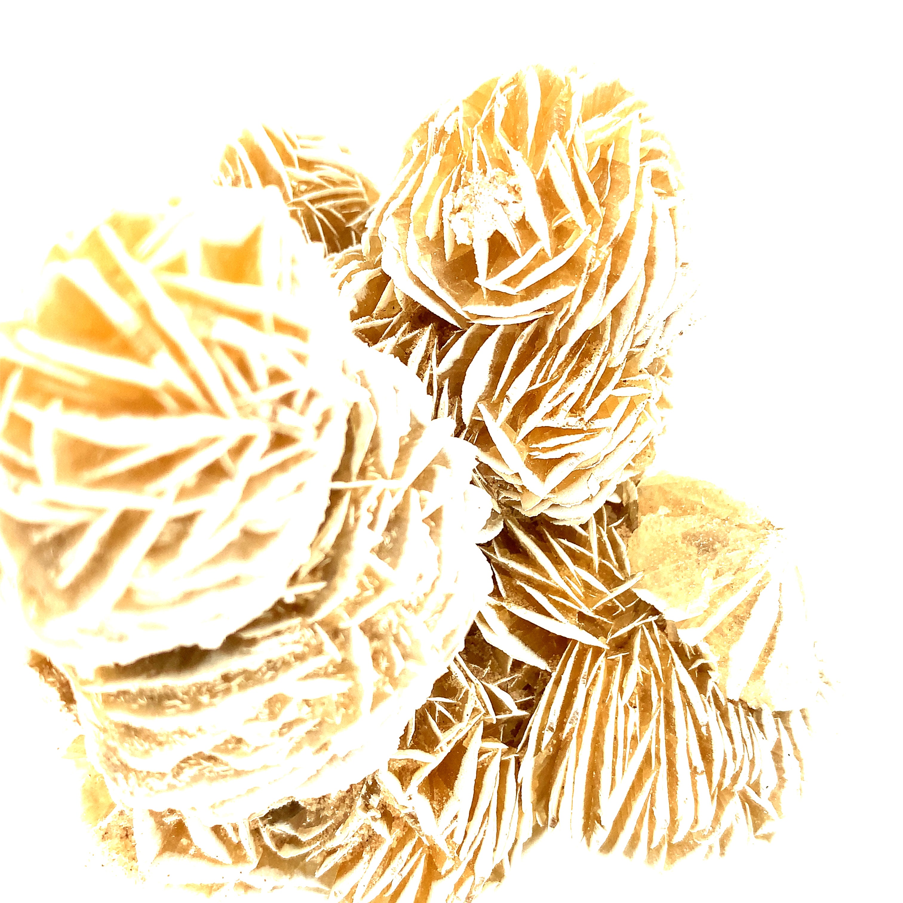 Desert Rose Selenite raw gemstones