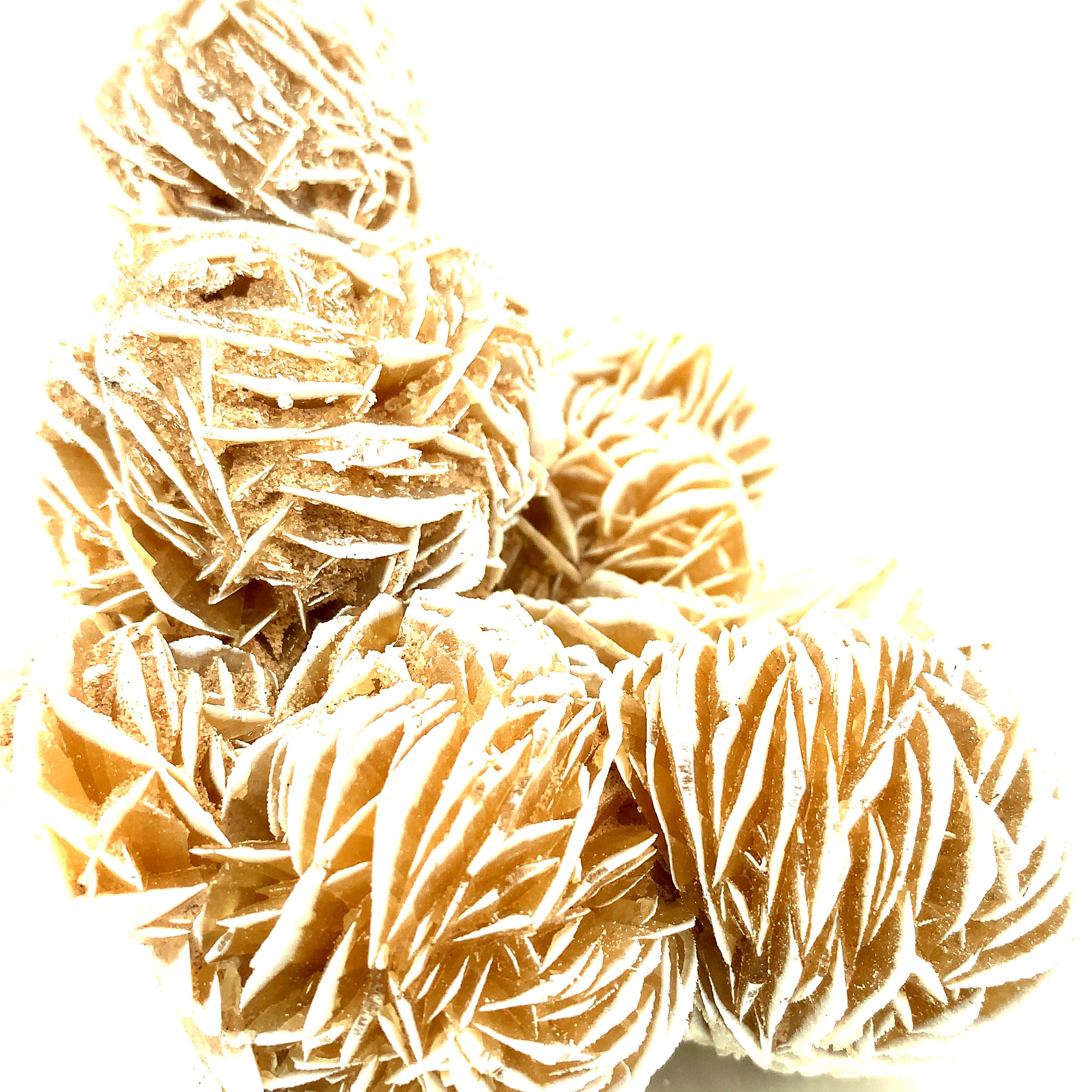Desert Rose Selenite raw gemstones