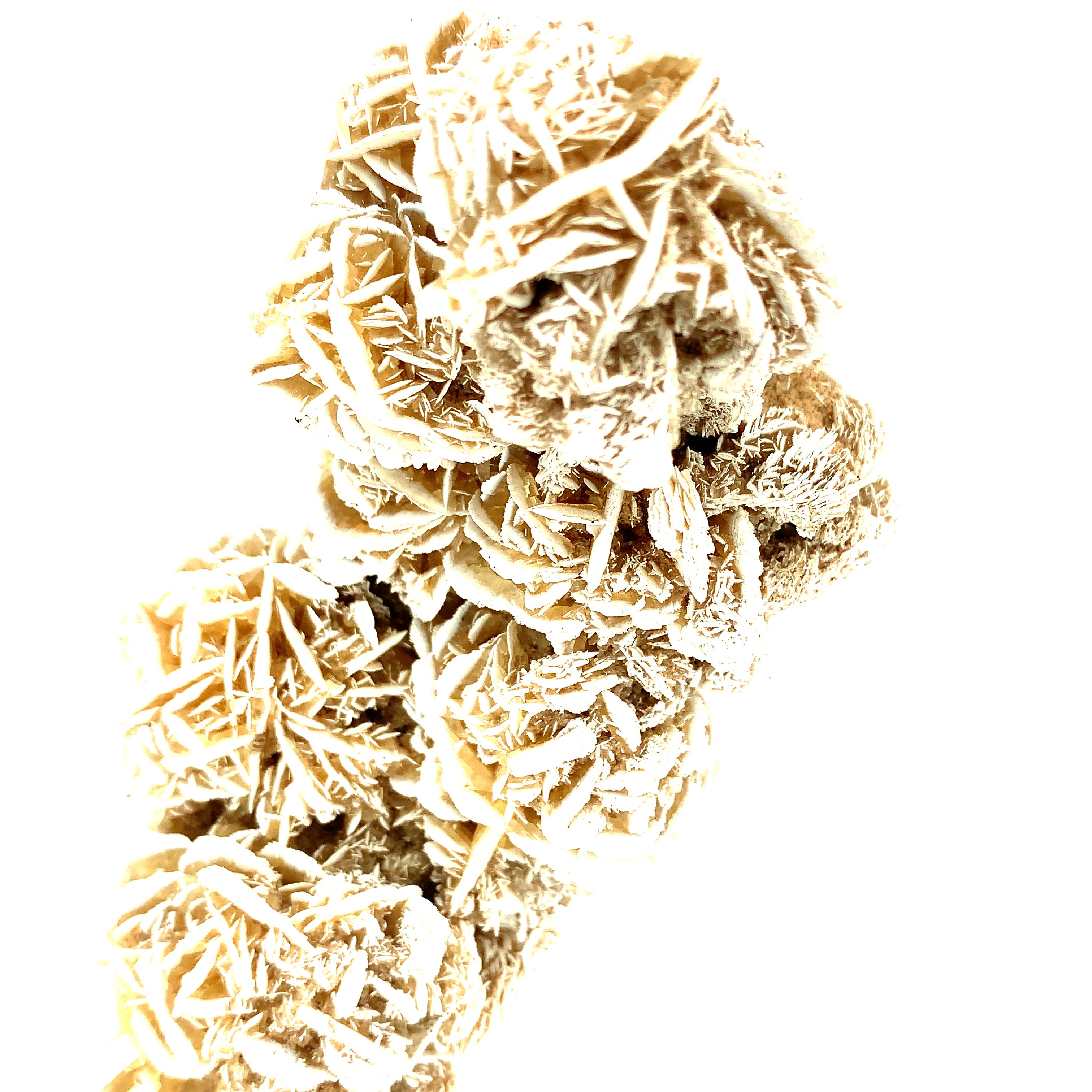 Desert Rose Selenite raw gemstones