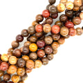 Petrified Wood Jasper Gemstone Strand