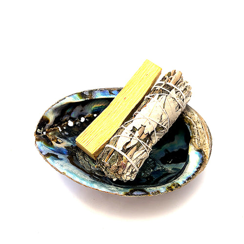 Abalone Shell — Ethically Sourced | Hand-Selected by Stacey | Reiki, Sound & Moon Energy Infused