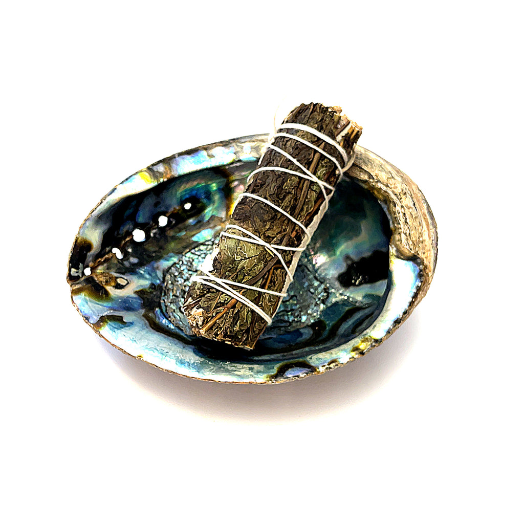 Ethically Sourced 6" Abalone Shell Bowl | Ocean Energy Healing Vessel