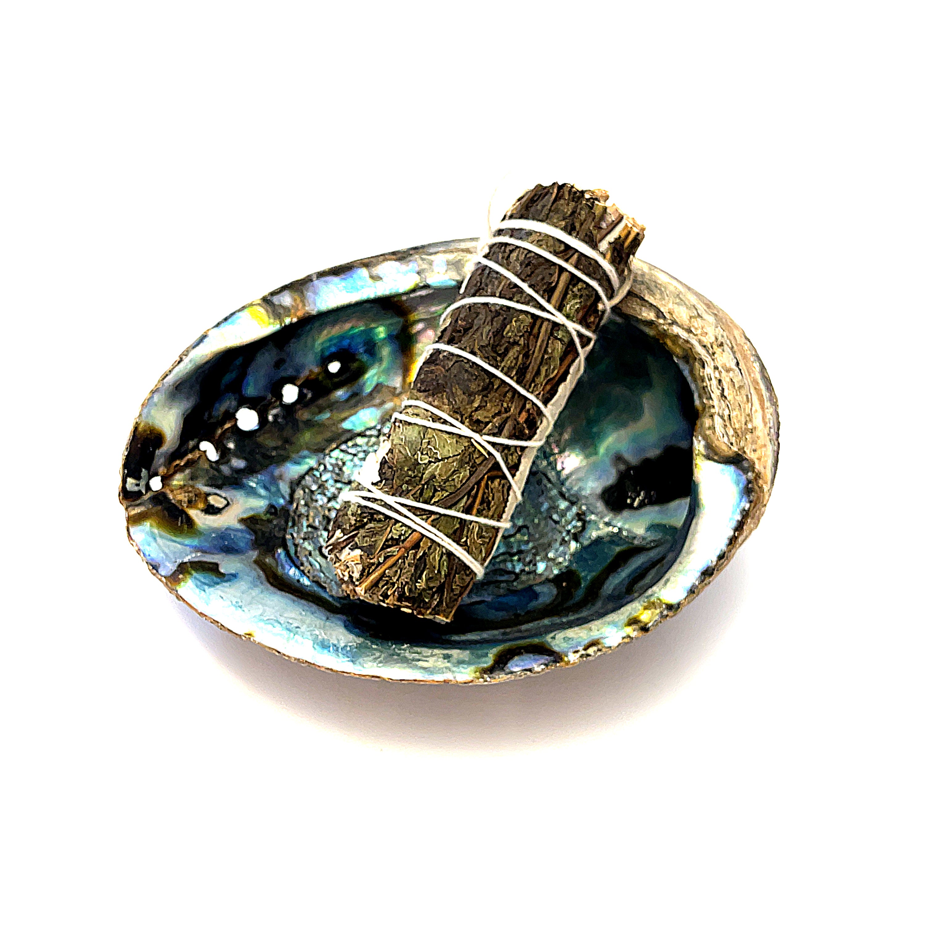 Ethically Sourced 6" Abalone Shell Bowl | Ocean Energy Healing Vessel