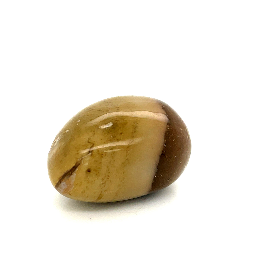Petrified Wood tumbled gemstone