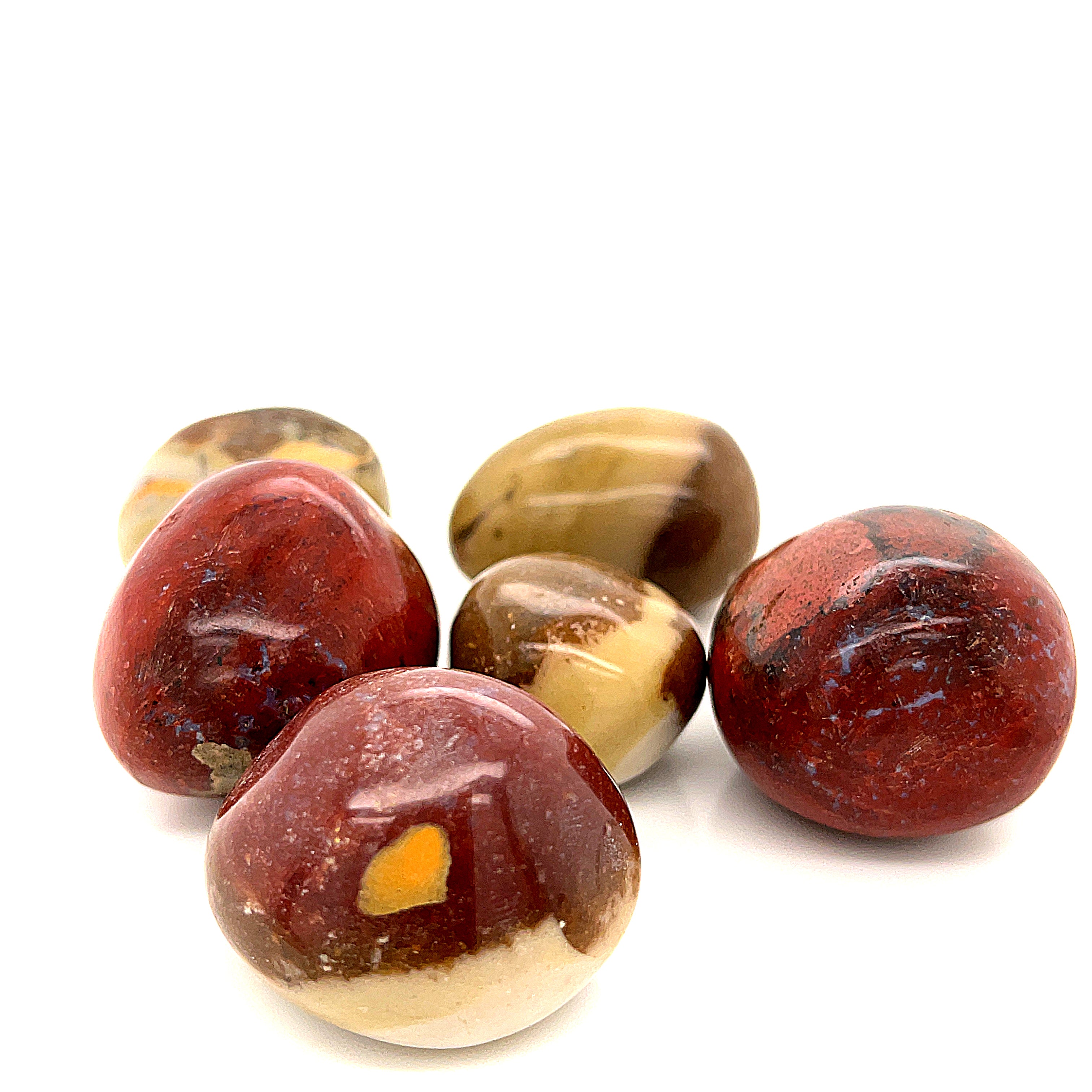Petrified Wood tumbled gemstone