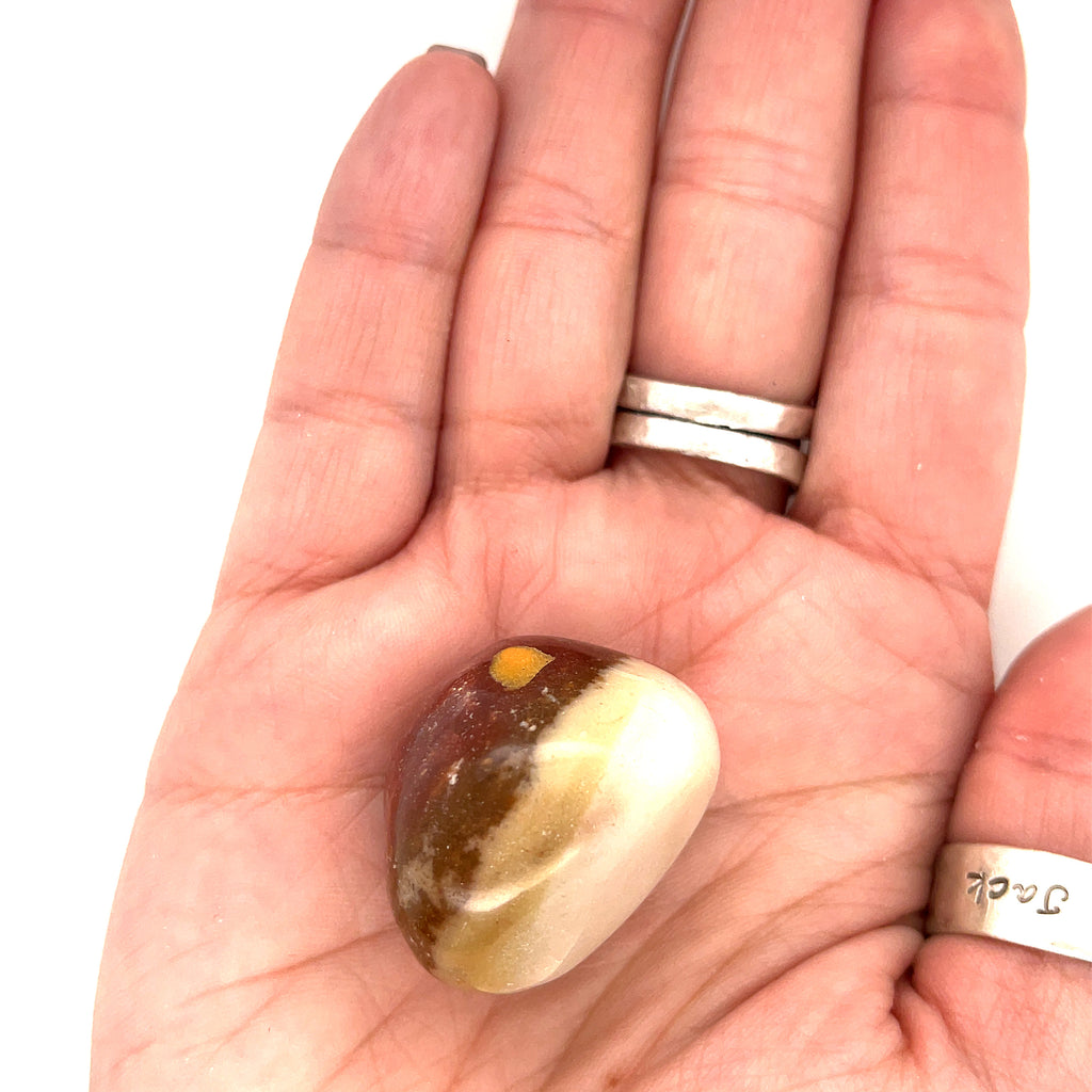 Petrified Wood tumbled gemstone