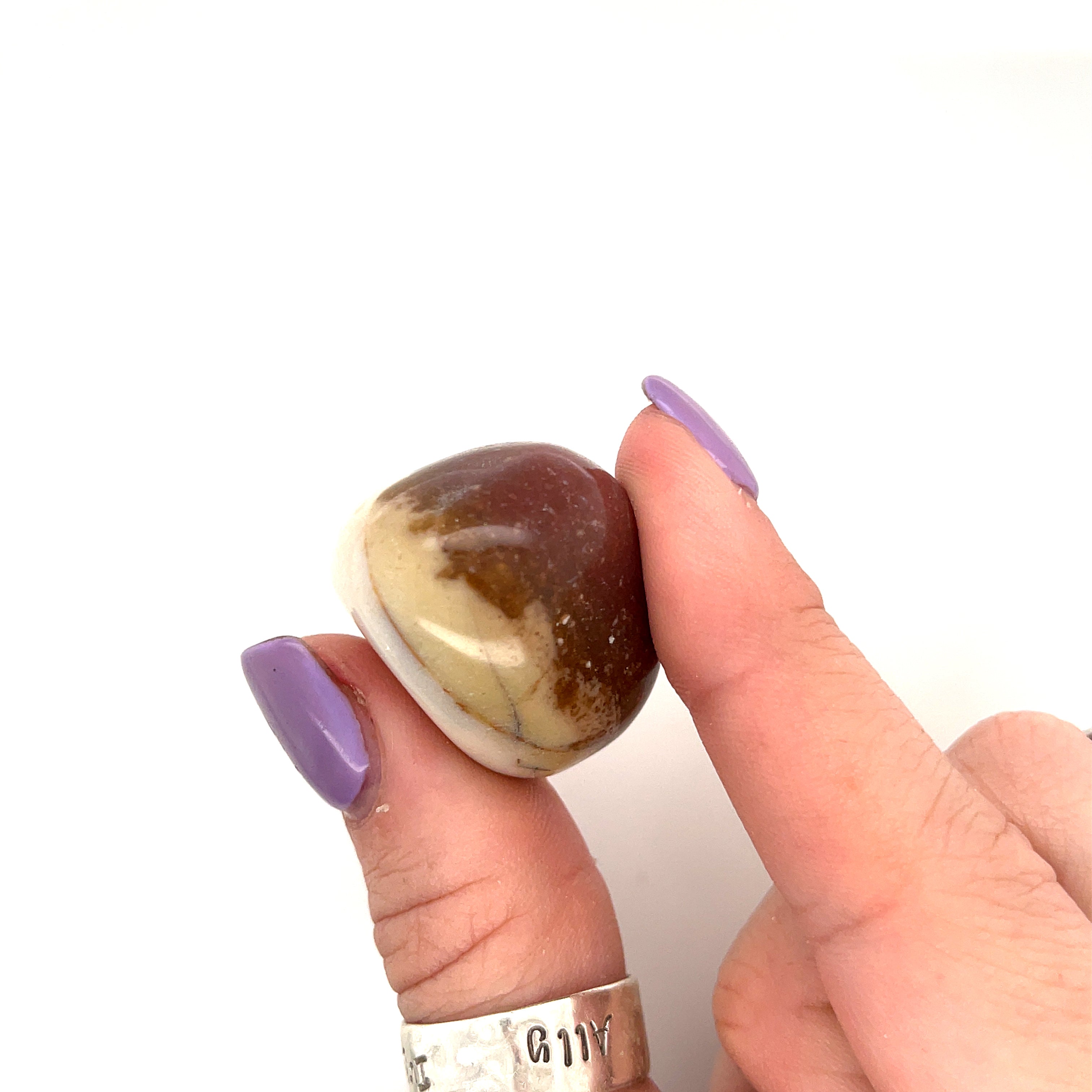 Petrified Wood tumbled gemstone
