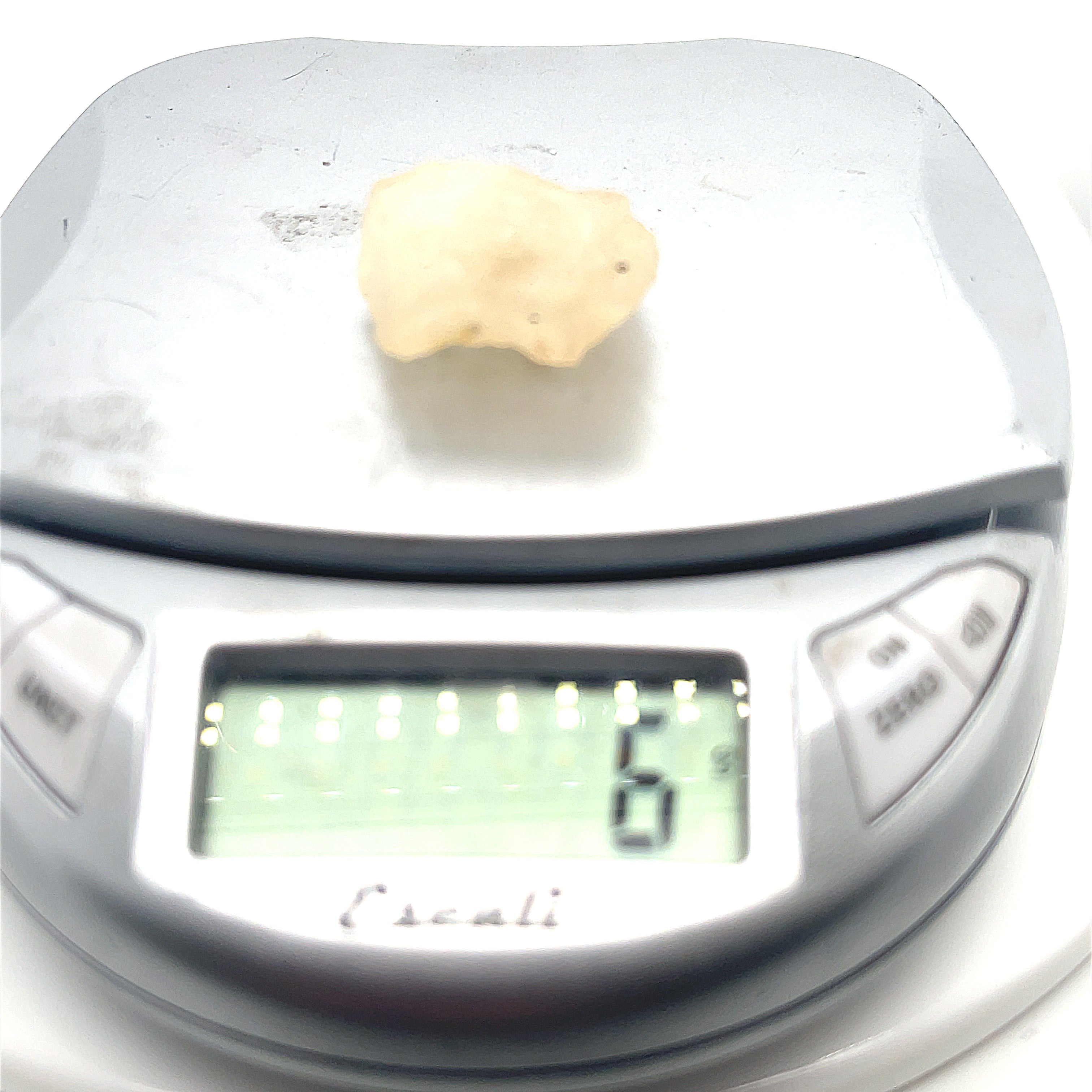 Libyan Desert Glass (Gold Tektite) Raw Healing Stones, Western Egypt