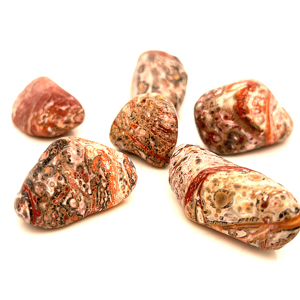 Leopard Skin Jasper tumbled gemstone
