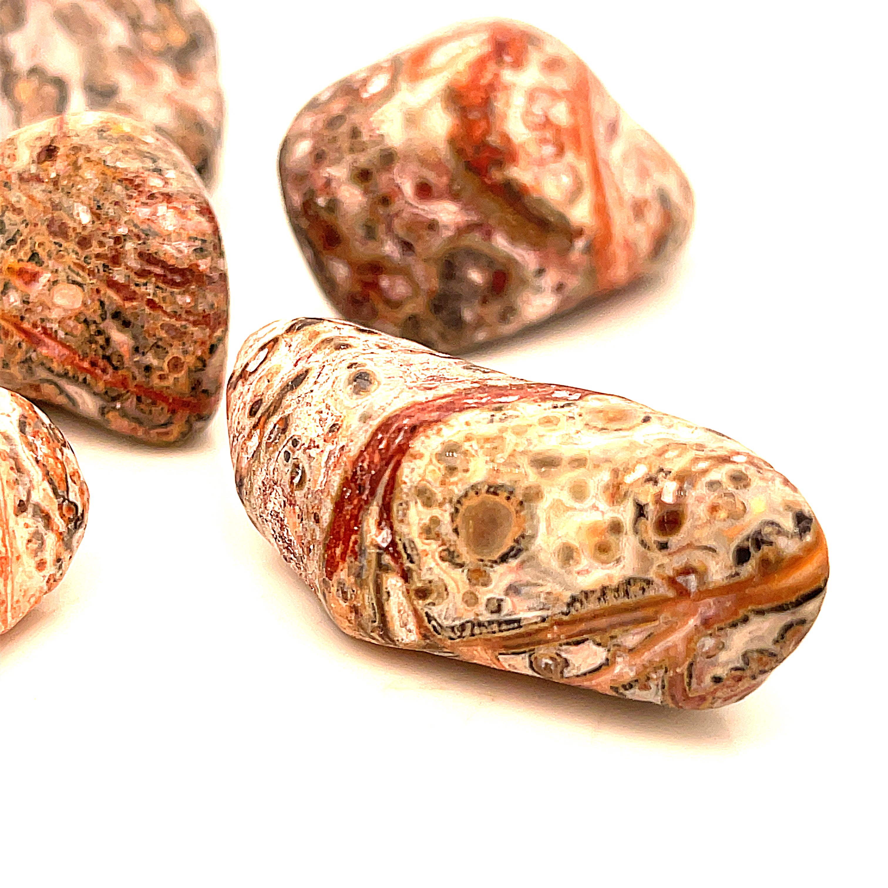 Leopard Skin Jasper tumbled gemstone