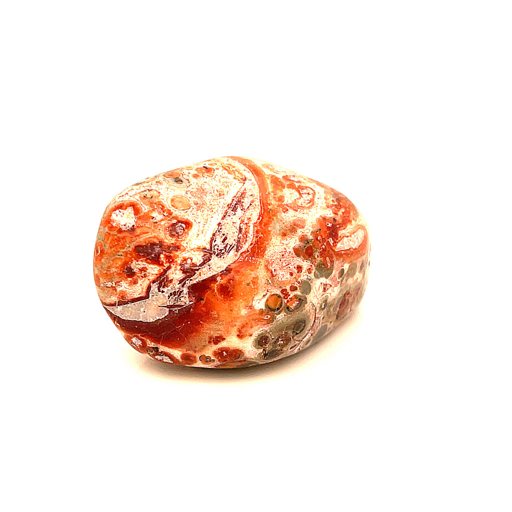 Leopard Skin Jasper tumbled gemstone