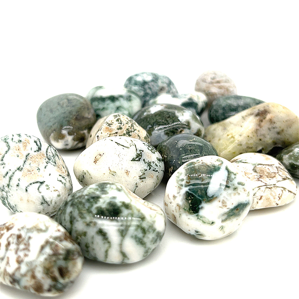 Tree Agate tumbled gemstone