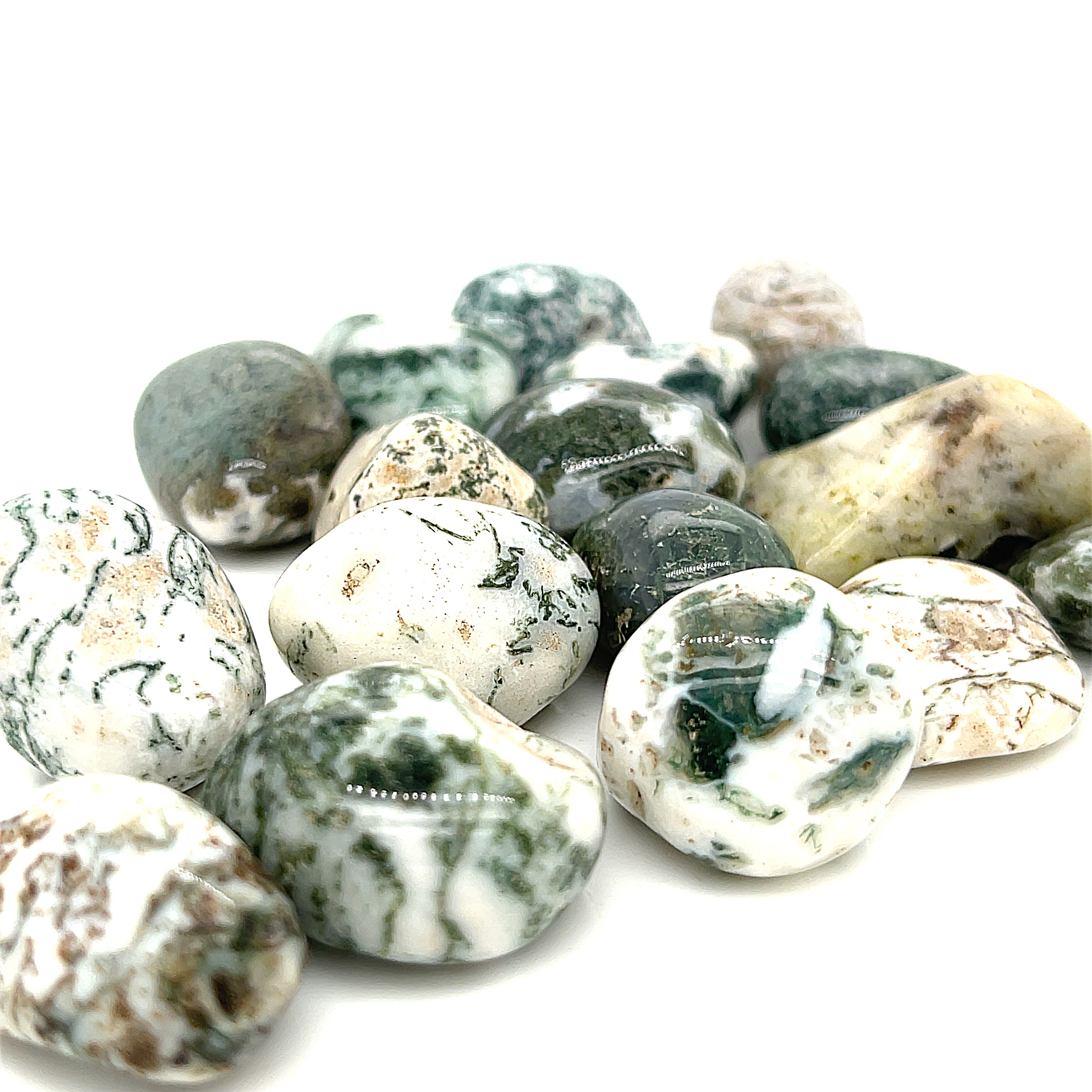 Tree Agate tumbled gemstone