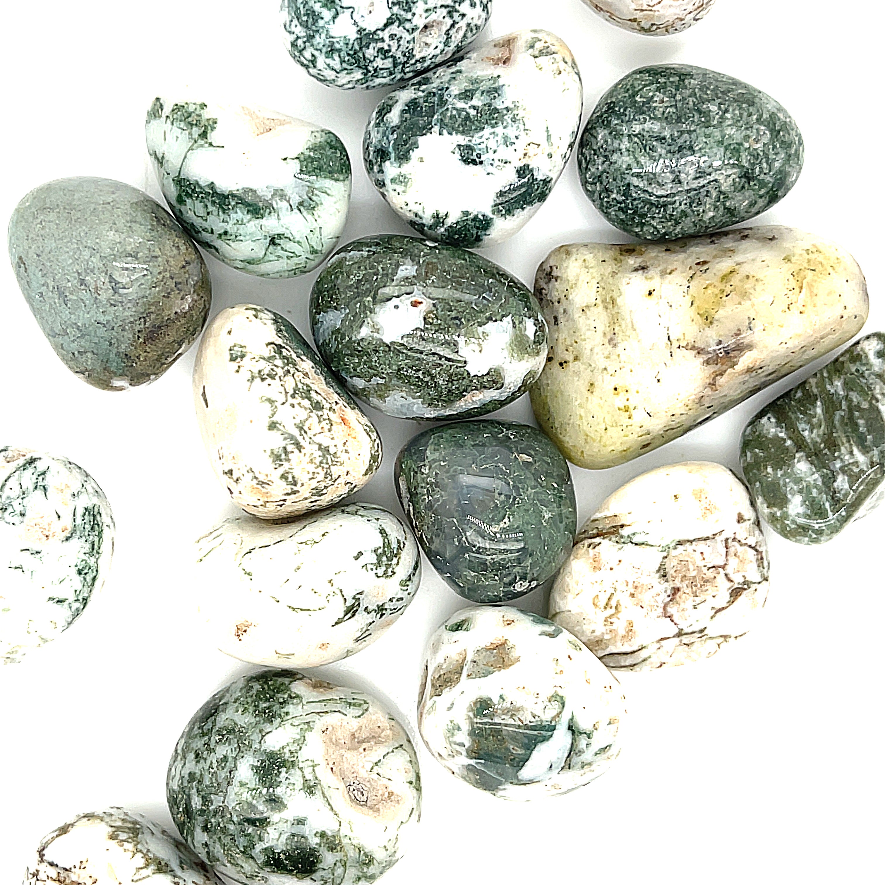 Tree Agate tumbled gemstone