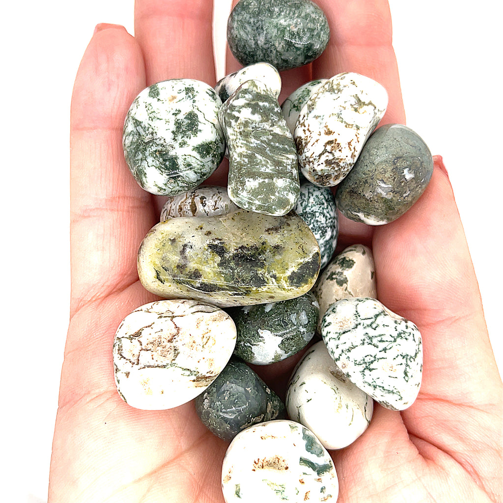 Tree Agate tumbled gemstone
