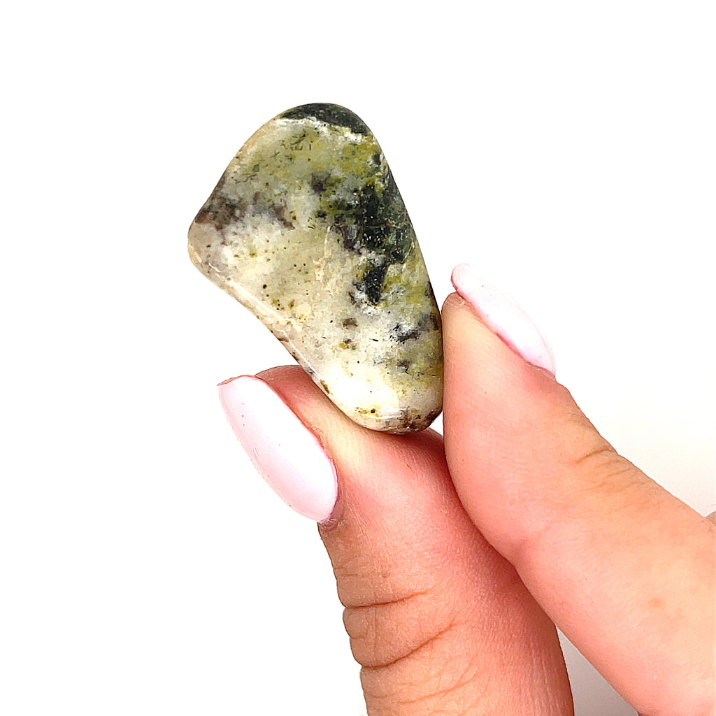 Tree Agate tumbled gemstone