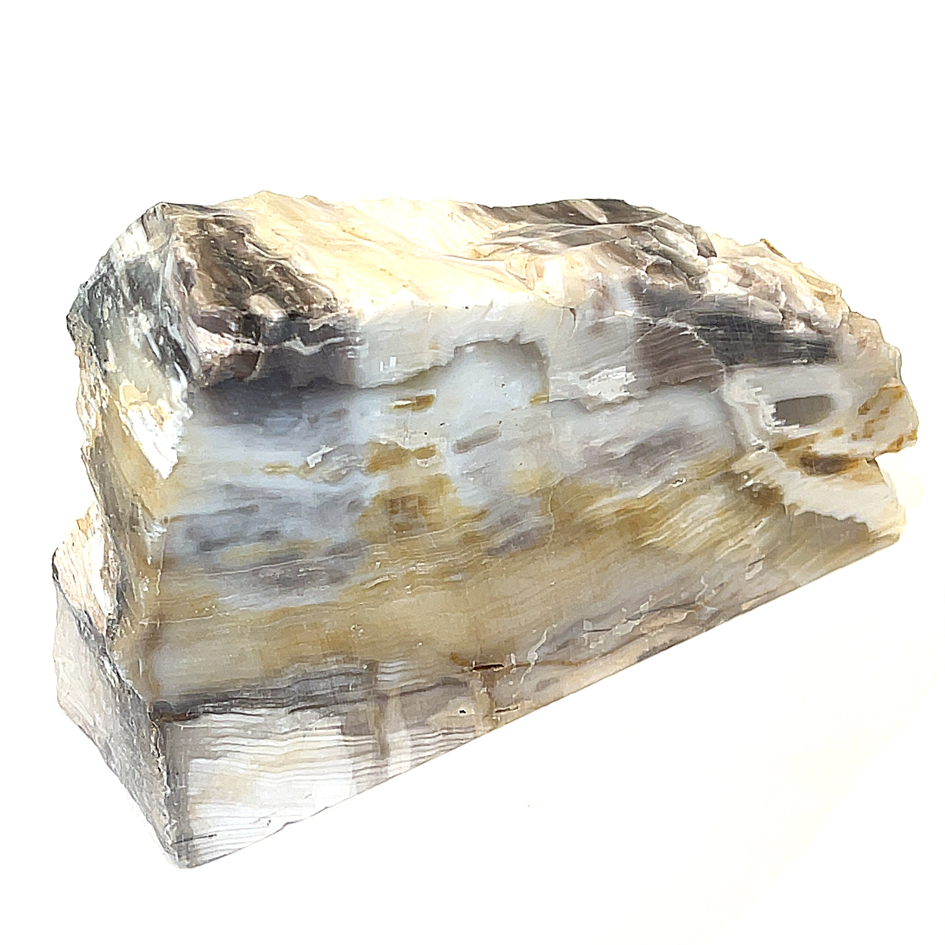 Petrified Wood Raw Gemstone, collectors pieces