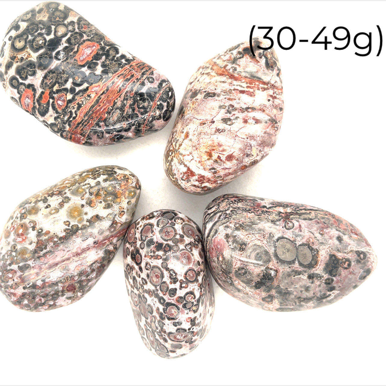 Leopard Skin Jasper tumbled gemstone