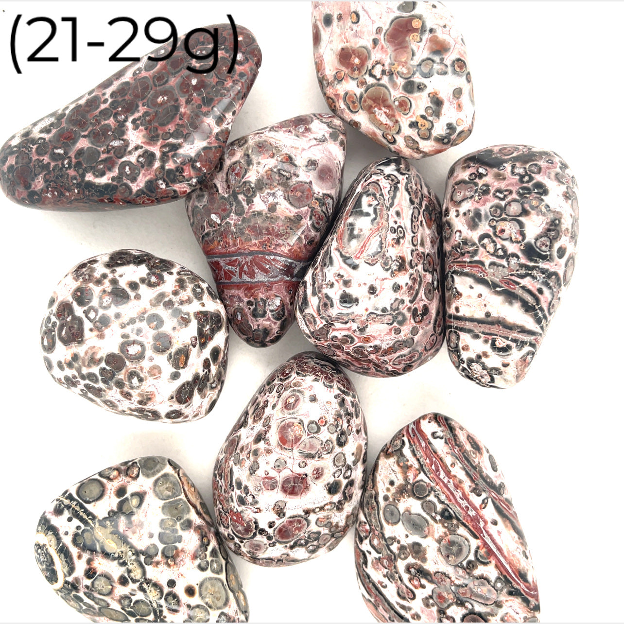 Leopard Skin Jasper tumbled gemstone
