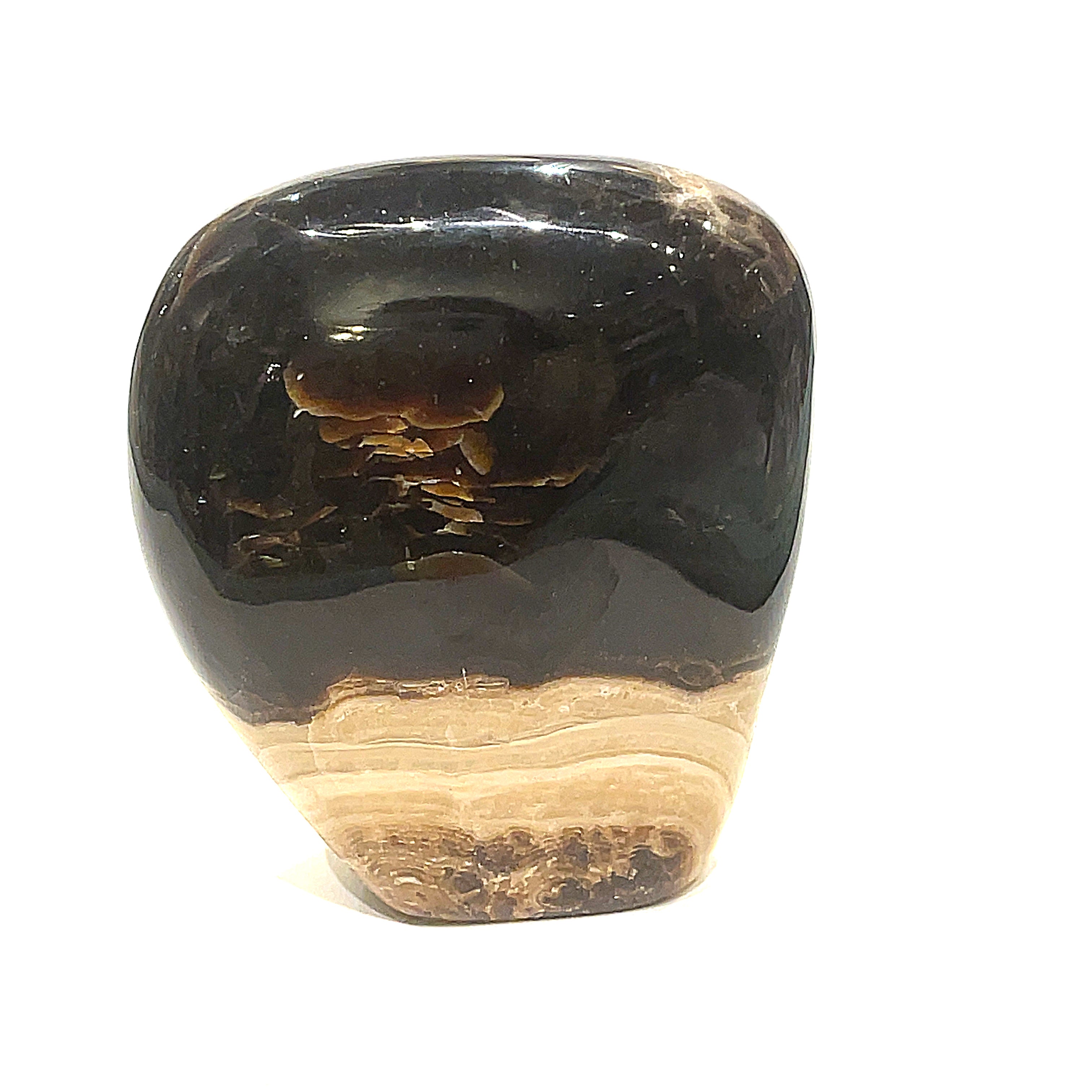#4 Chocolate Calcite free-form gemstones varying slightly in size and shape, with a smooth, polished finish. They are displayed against a white background in a front view. 