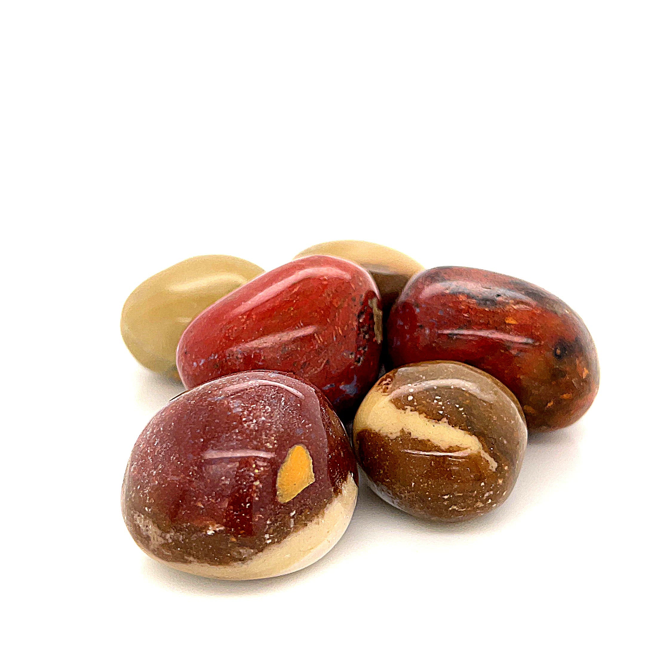 Petrified Wood tumbled gemstone