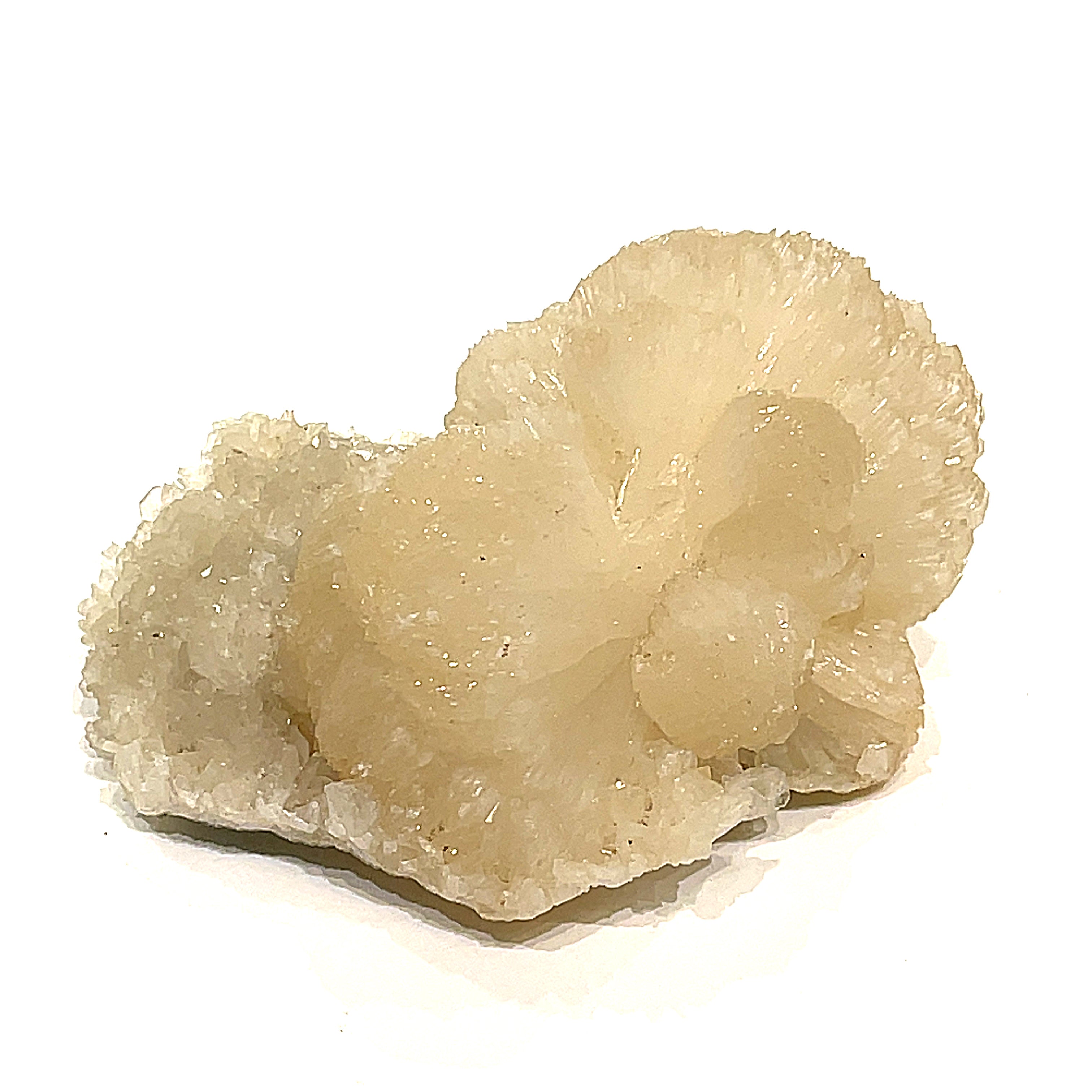 #5 Stilbite on a white background, front view. 