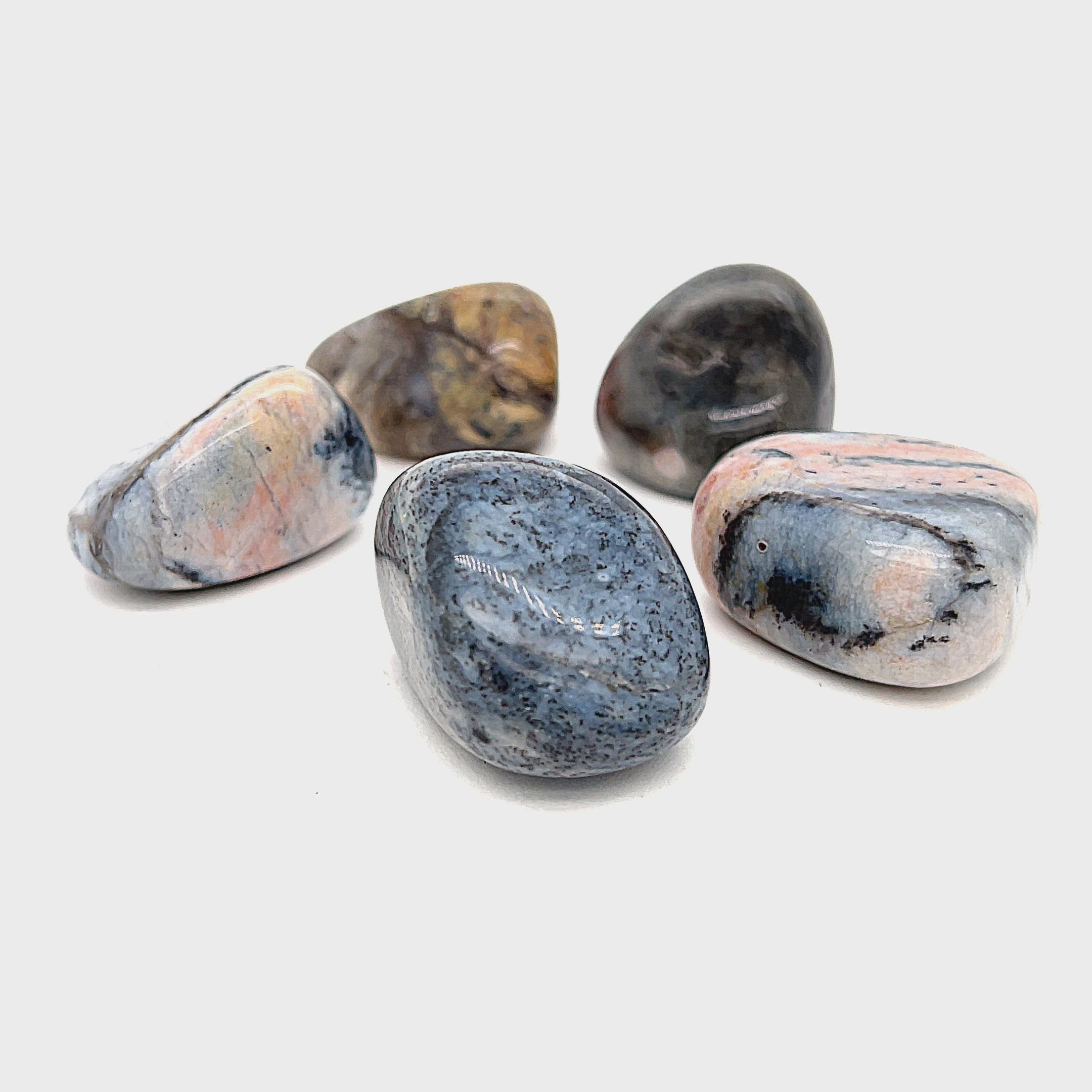 A collection of polished Dendritic Agate tumbled gemstones displayed on a white background, front overview. video