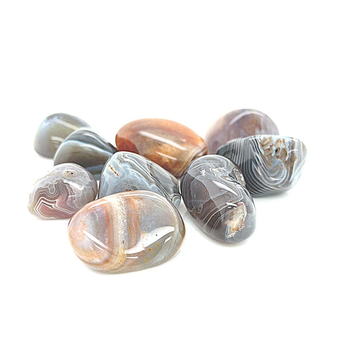 A collection of tumbled Botswana Agate gemstones with brown, gray, and white patterns on a white background, front view. video