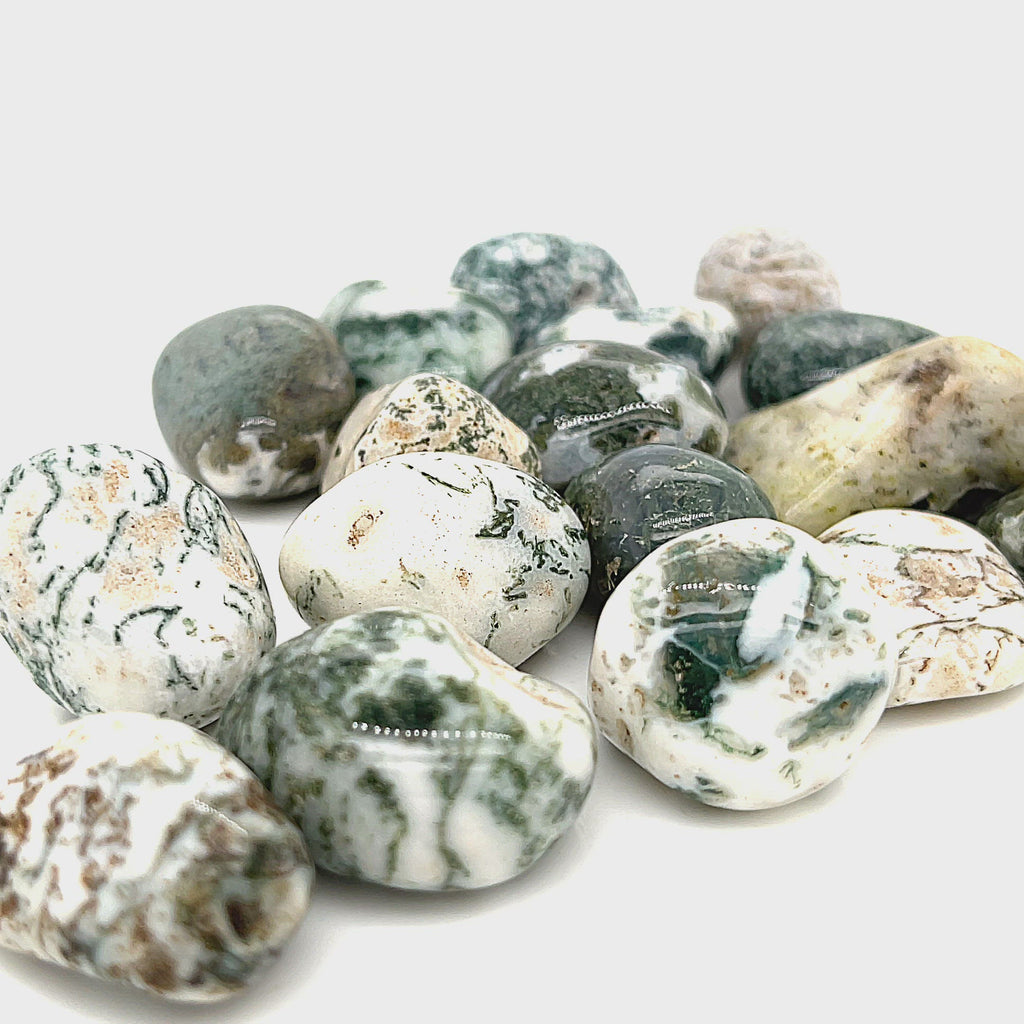 Tree Agate tumbled gemstone