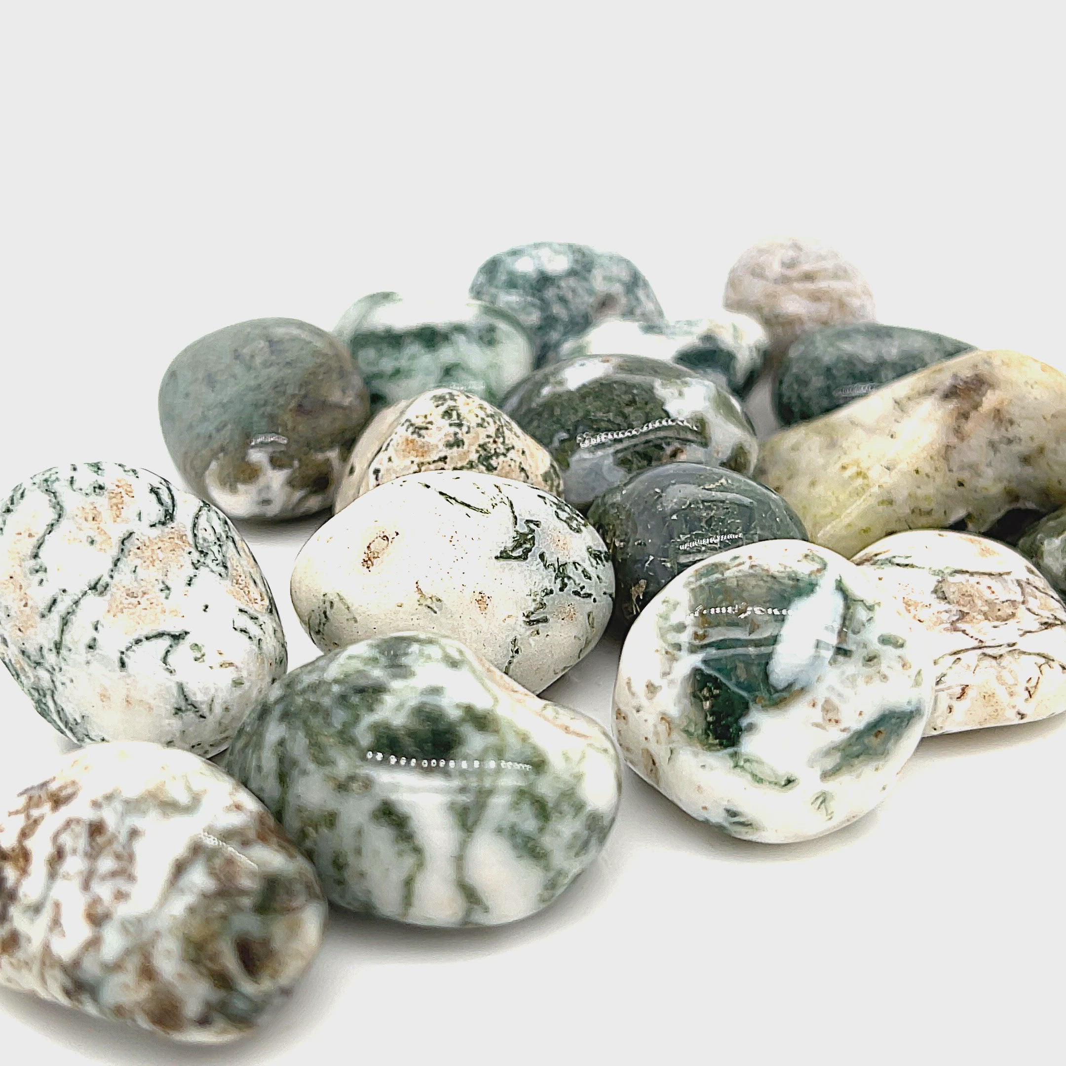 Tree Agate tumbled gemstone