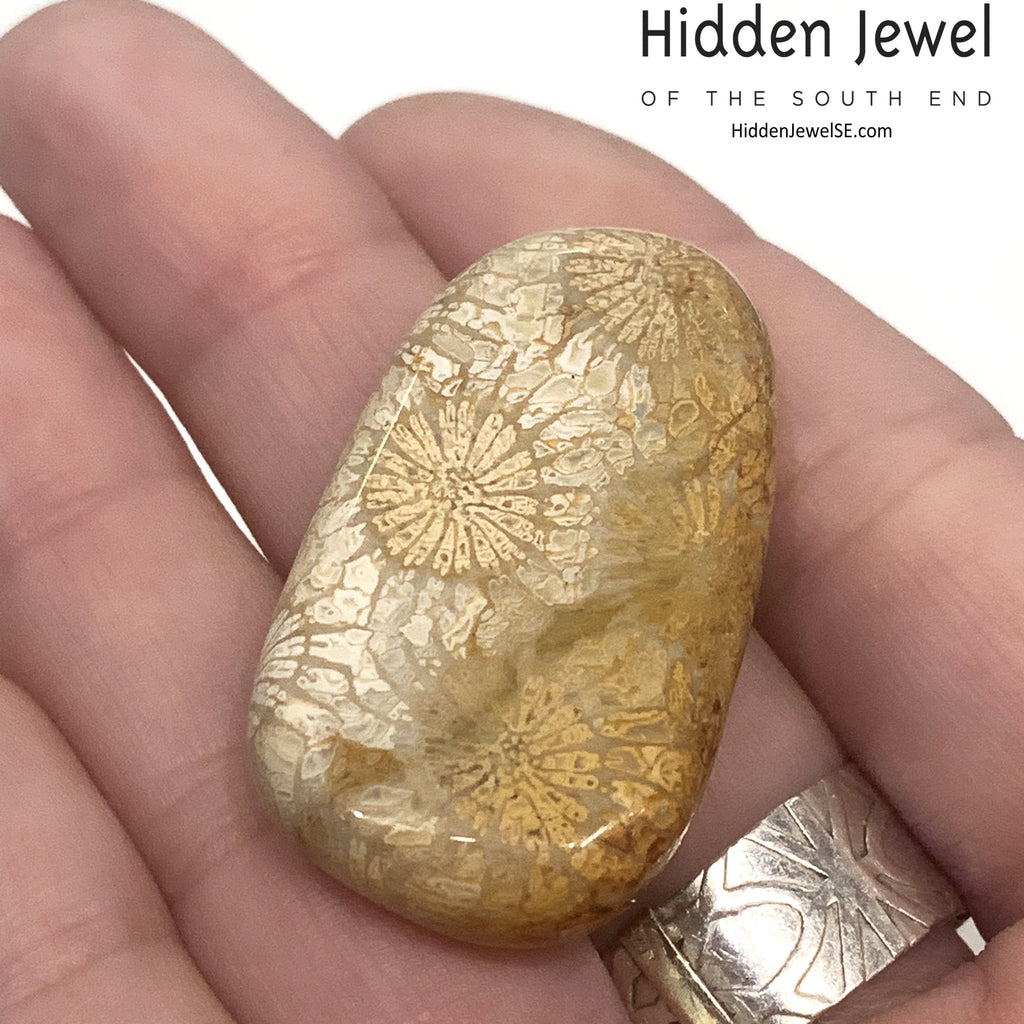 A Fossil Coral Gemstone Tumble in a models hand, on a white background, front view. 