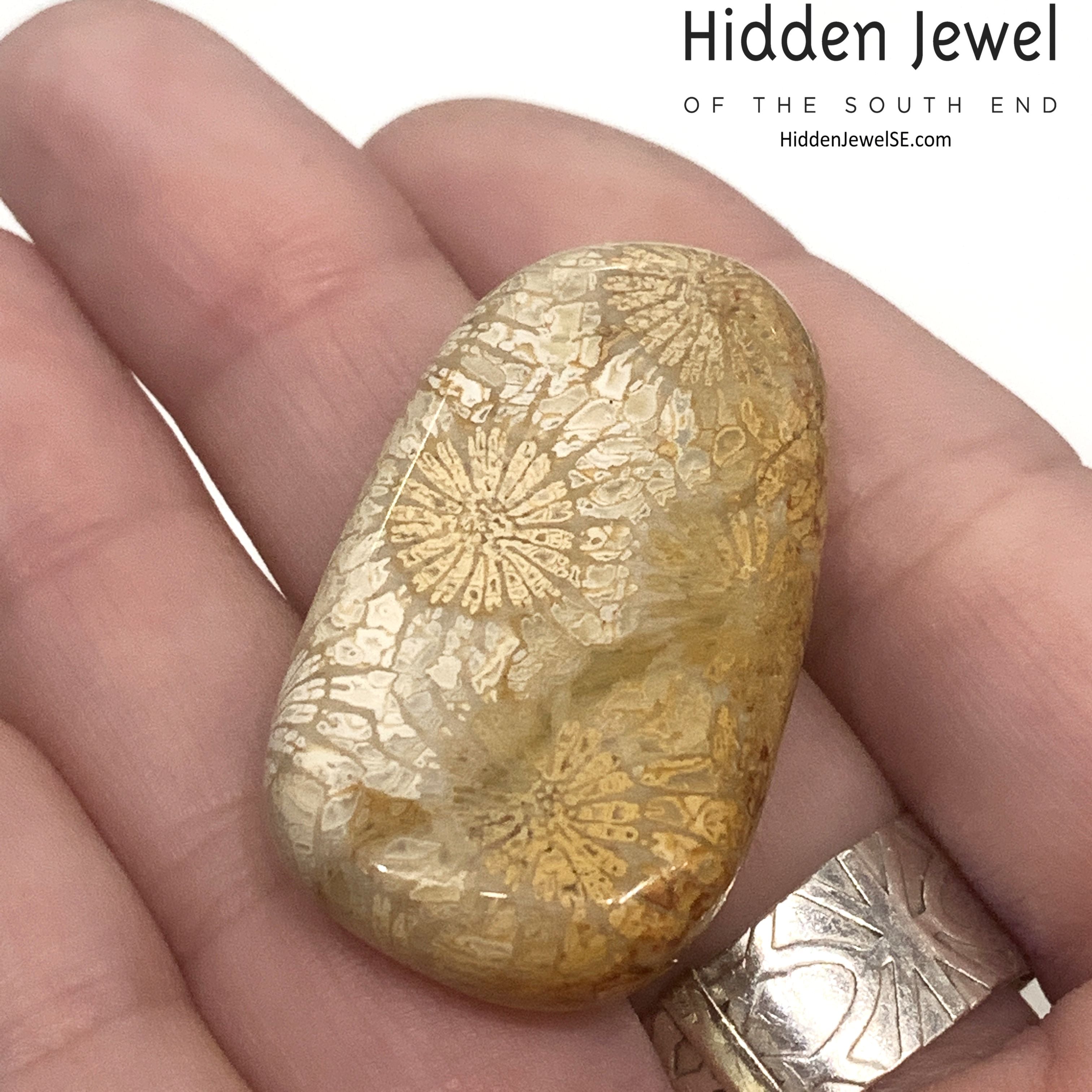 A Fossil Coral Gemstone Tumble in a models hand, on a white background, front view. 