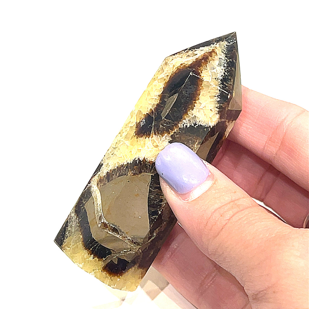 A Septarian Nodule gemstone tower, displaying a variety of earthy colors and patterns in a models hand on a white background, front view.