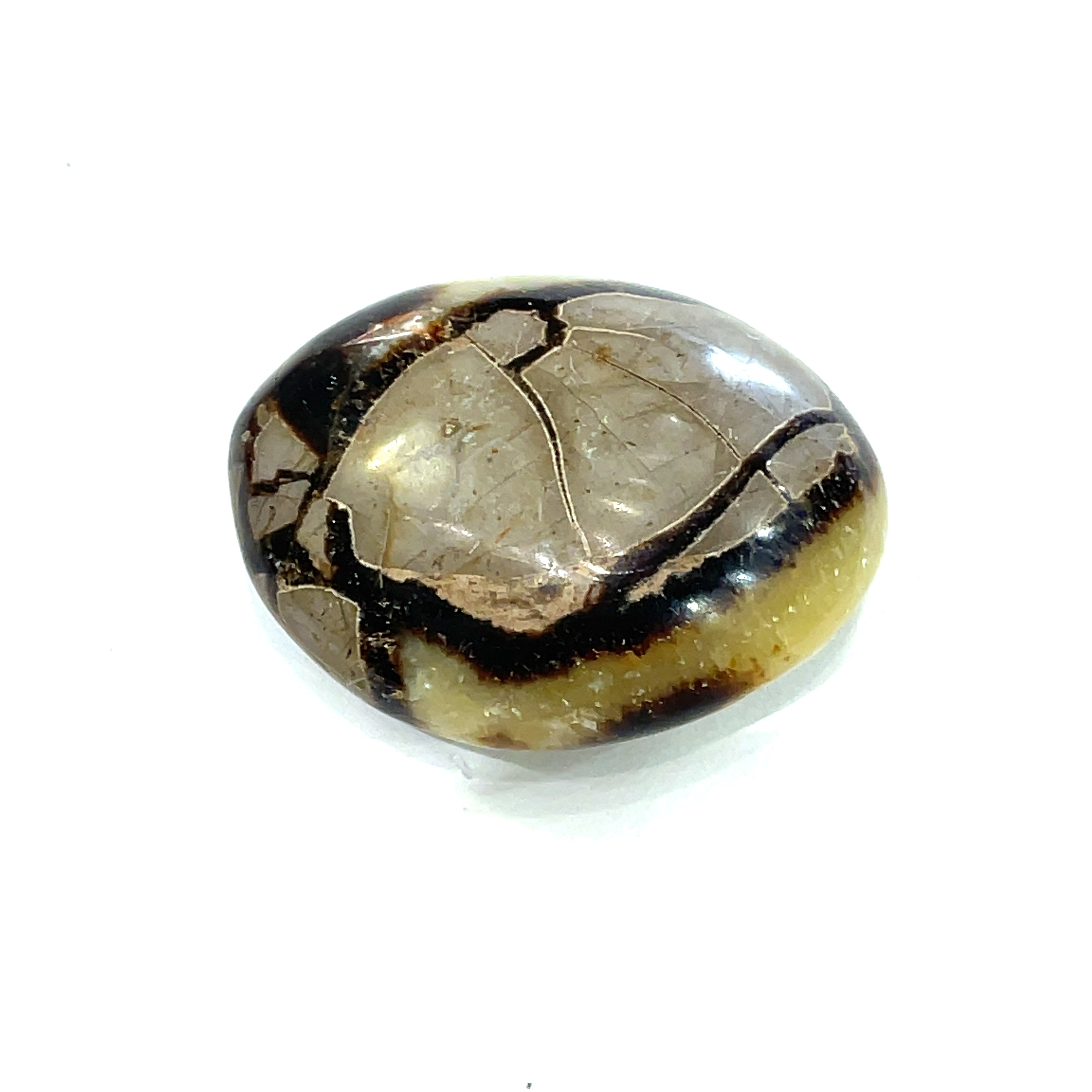 A Septarian Nodule palm stone showing natural calcite and aragonite pattern front view. 