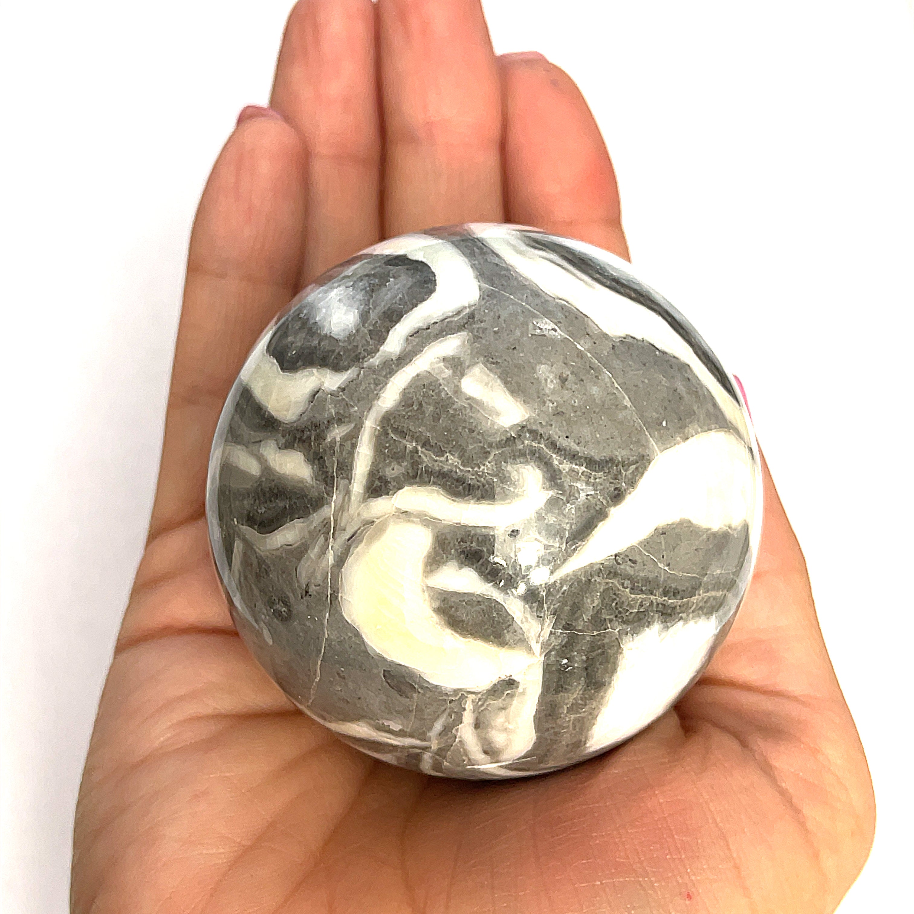 A Shiva Shell Gemstone Spheres displayed on a models hand on a white background, close-up front overview.